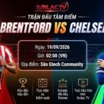 Nhận định soi kèo trận đấu tâm điểm Brentford vs Chelsea vòng 5 Ngoại hạng Anh trên Xoilac TV.